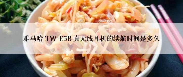 雅马哈 TW-E5B 真无线耳机的续航时间是多久