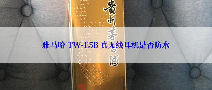 雅马哈 TW-E5B 真无线耳机是否防水