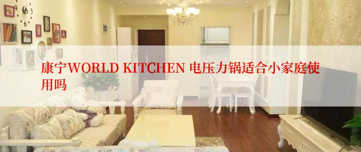 康宁WORLD KITCHEN 电压力锅适合小家庭使用吗