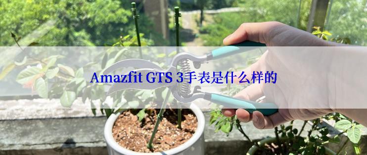 Amazfit GTS 3手表是什么样的