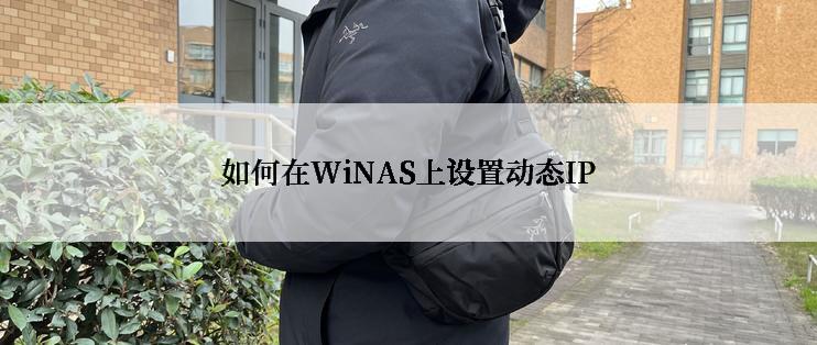 如何在WiNAS上设置动态IP