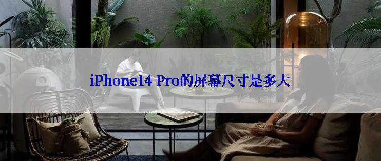 iPhone14 Pro的屏幕尺寸是多大