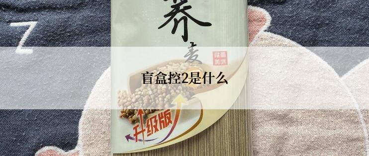 盲盒控2是什么