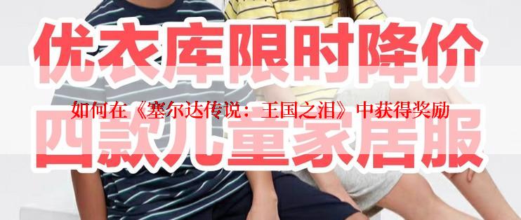 如何在《塞尔达传说：王国之泪》中获得奖励