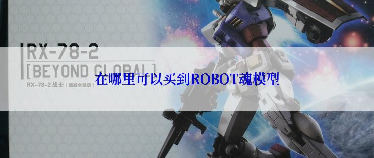 在哪里可以买到ROBOT魂模型