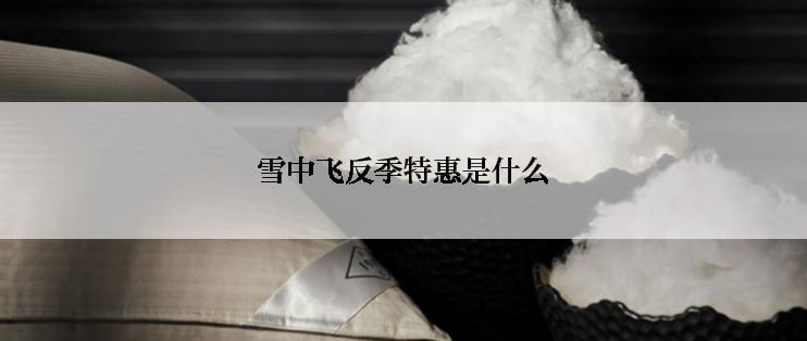 雪中飞反季特惠是什么