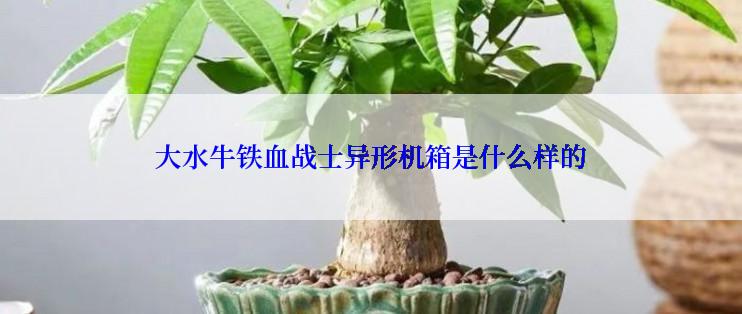 大水牛铁血战士异形机箱是什么样的