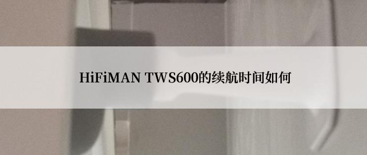  HiFiMAN TWS600的续航时间如何