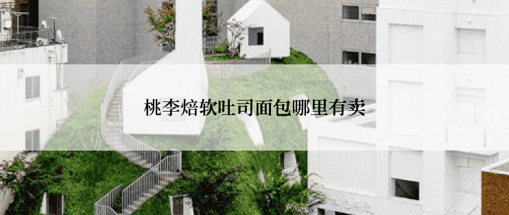 桃李焙软吐司面包哪里有卖