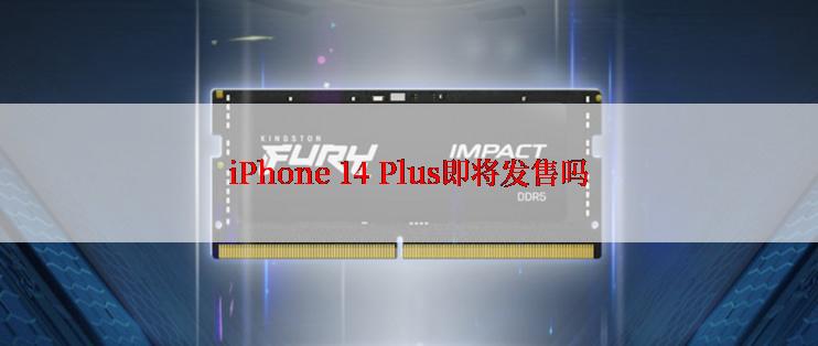 iPhone 14 Plus即将发售吗