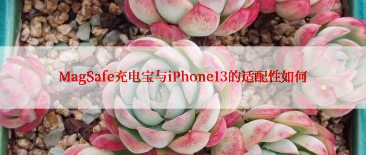 MagSafe充电宝与iPhone13的适配性如何