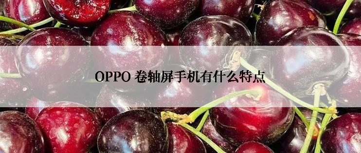 OPPO 卷轴屏手机有什么特点