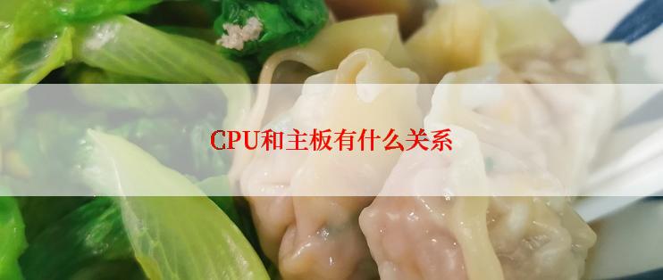 CPU和主板有什么关系