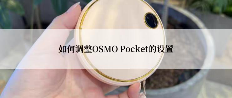 如何调整OSMO Pocket的设置