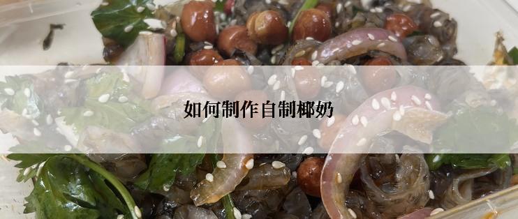 如何制作自制椰奶