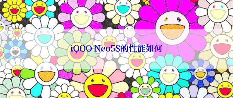 iQOO Neo5S的性能如何