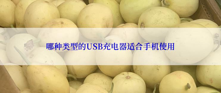 哪种类型的USB充电器适合手机使用