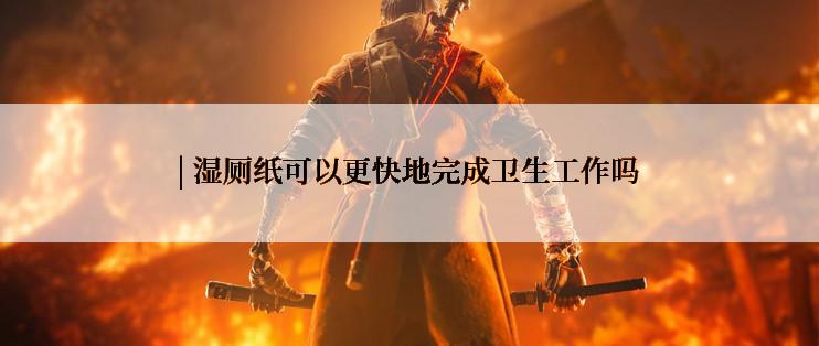 | 湿厕纸可以更快地完成卫生工作吗