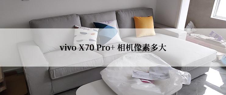 vivo X70 Pro+ 相机像素多大