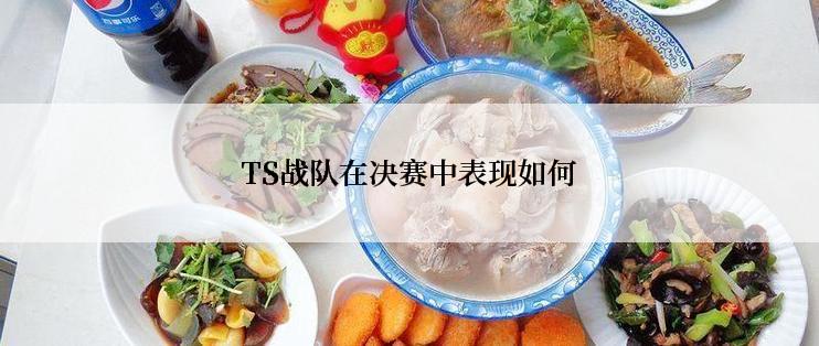 TS战队在决赛中表现如何