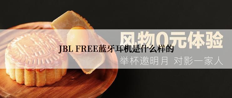 JBL FREE蓝牙耳机是什么样的