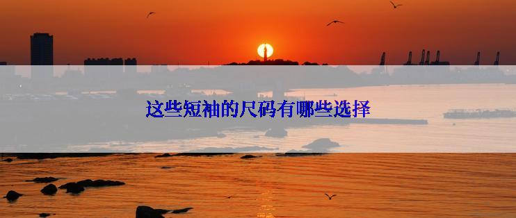 这些短袖的尺码有哪些选择