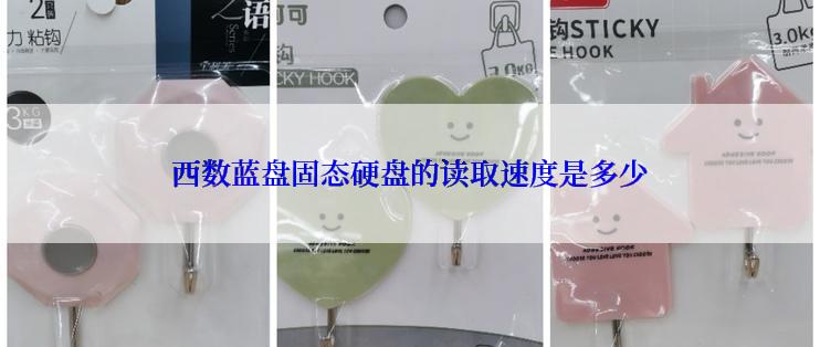 西数蓝盘固态硬盘的读取速度是多少