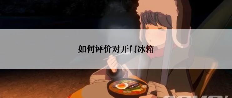 如何评价对开门冰箱