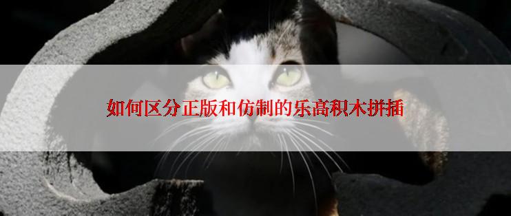 如何区分正版和仿制的乐高积木拼插