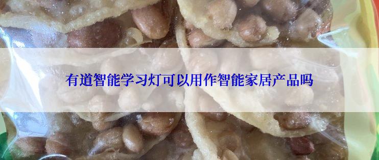 有道智能学习灯可以用作智能家居产品吗