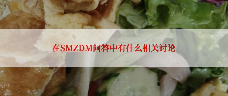 在SMZDM问答中有什么相关讨论