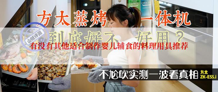 有没有其他适合制作婴儿辅食的料理用具推荐