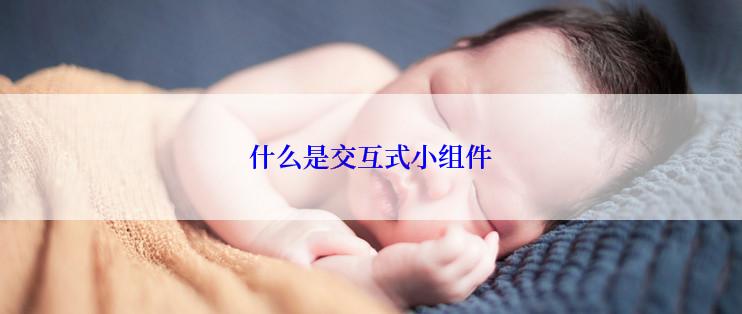 什么是交互式小组件