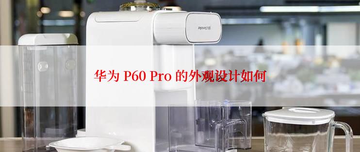 华为 P60 Pro 的外观设计如何