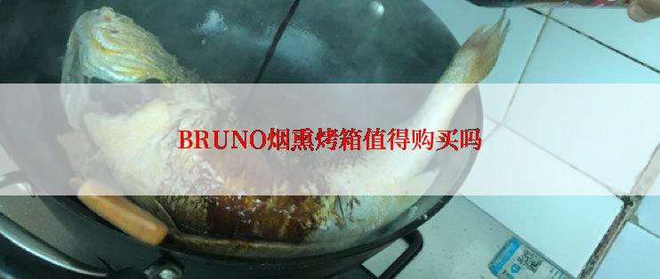 BRUNO烟熏烤箱值得购买吗