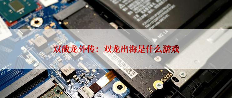 双截龙外传：双龙出海是什么游戏