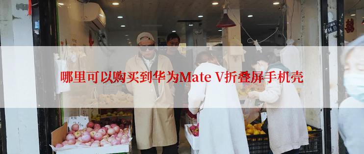 哪里可以购买到华为Mate V折叠屏手机壳