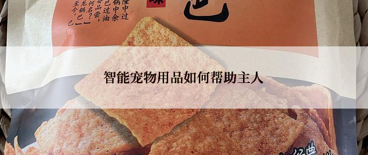 智能宠物用品如何帮助主人