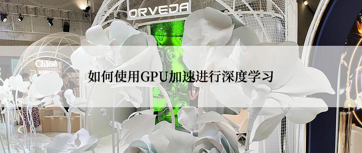 如何使用GPU加速进行深度学习