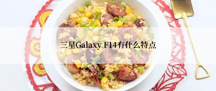 三星Galaxy F14有什么特点