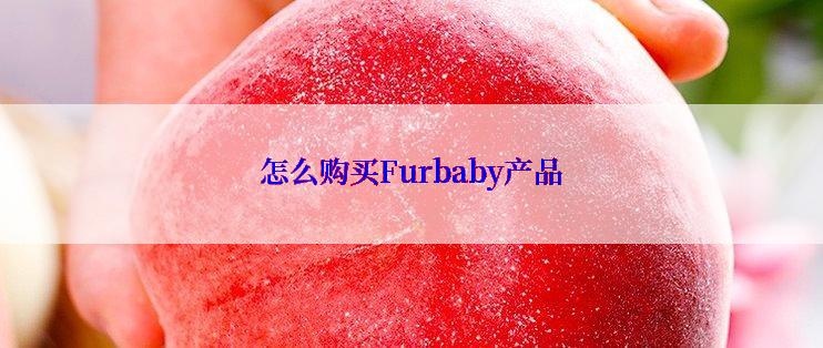 怎么购买Furbaby产品