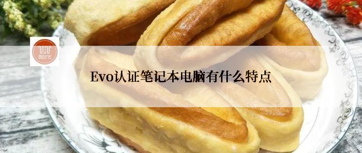 Evo认证笔记本电脑有什么特点