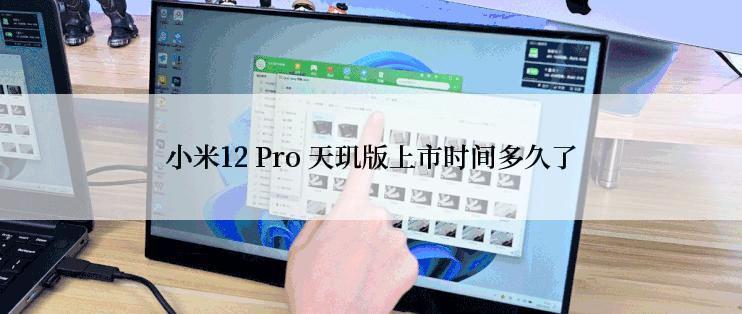 小米12 Pro 天玑版上市时间多久了