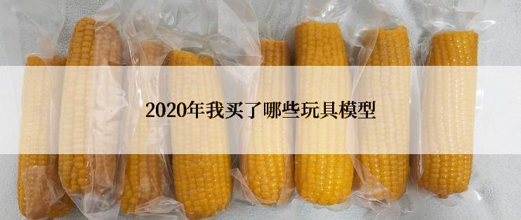 2020年我买了哪些玩具模型