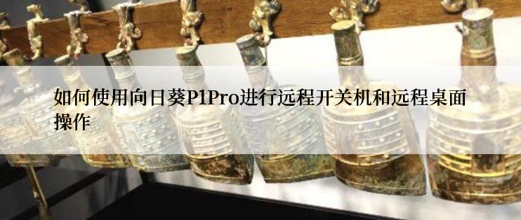 如何使用向日葵P1Pro进行远程开关机和远程桌面操作