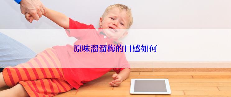 原味溜溜梅的口感如何