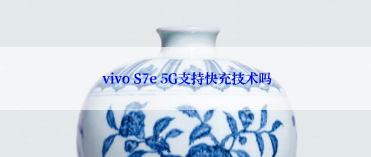  vivo S7e 5G支持快充技术吗