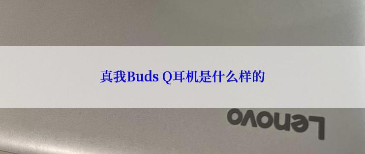 真我Buds Q耳机是什么样的