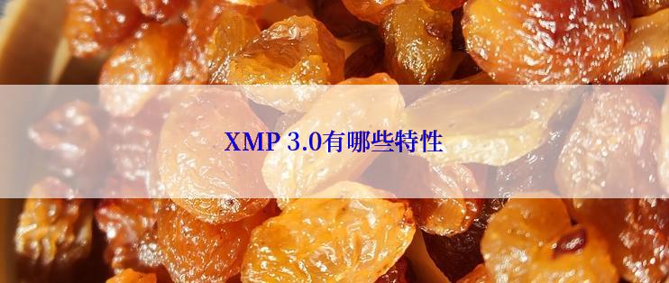 XMP 3.0有哪些特性