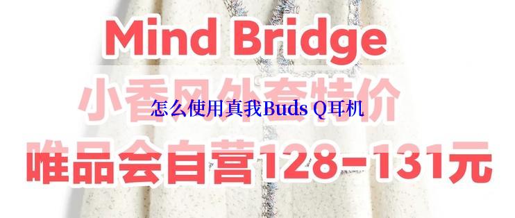 怎么使用真我Buds Q耳机